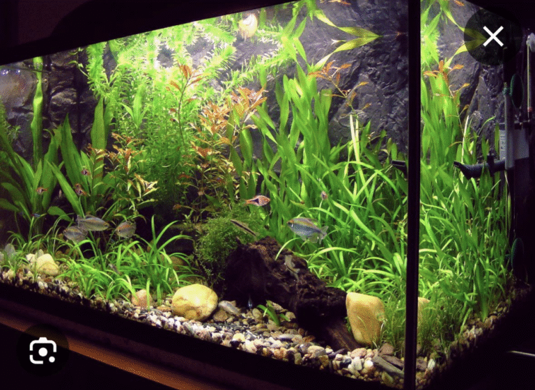 Screenshot 2025-07-24 at 10.18.41