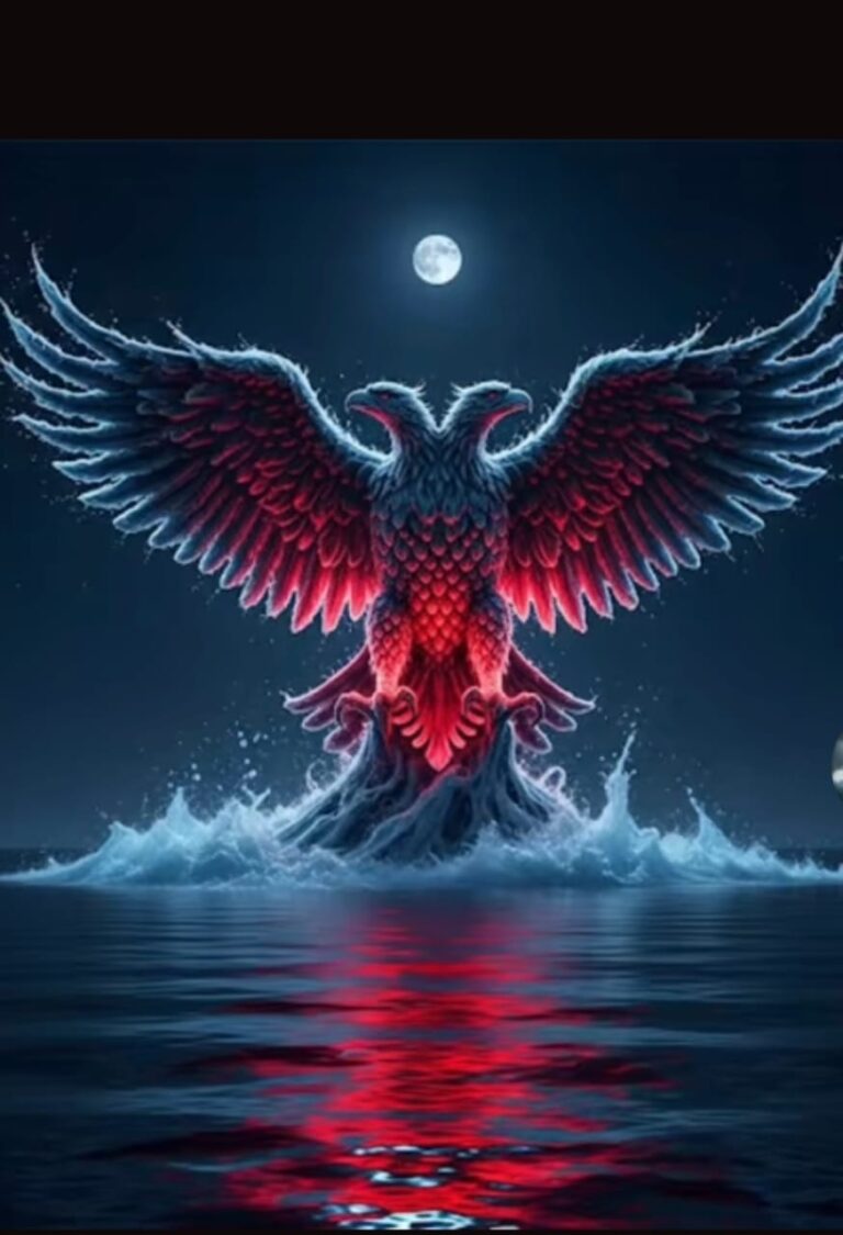 WhatsApp Image 2025-09-18 at 14.39.33