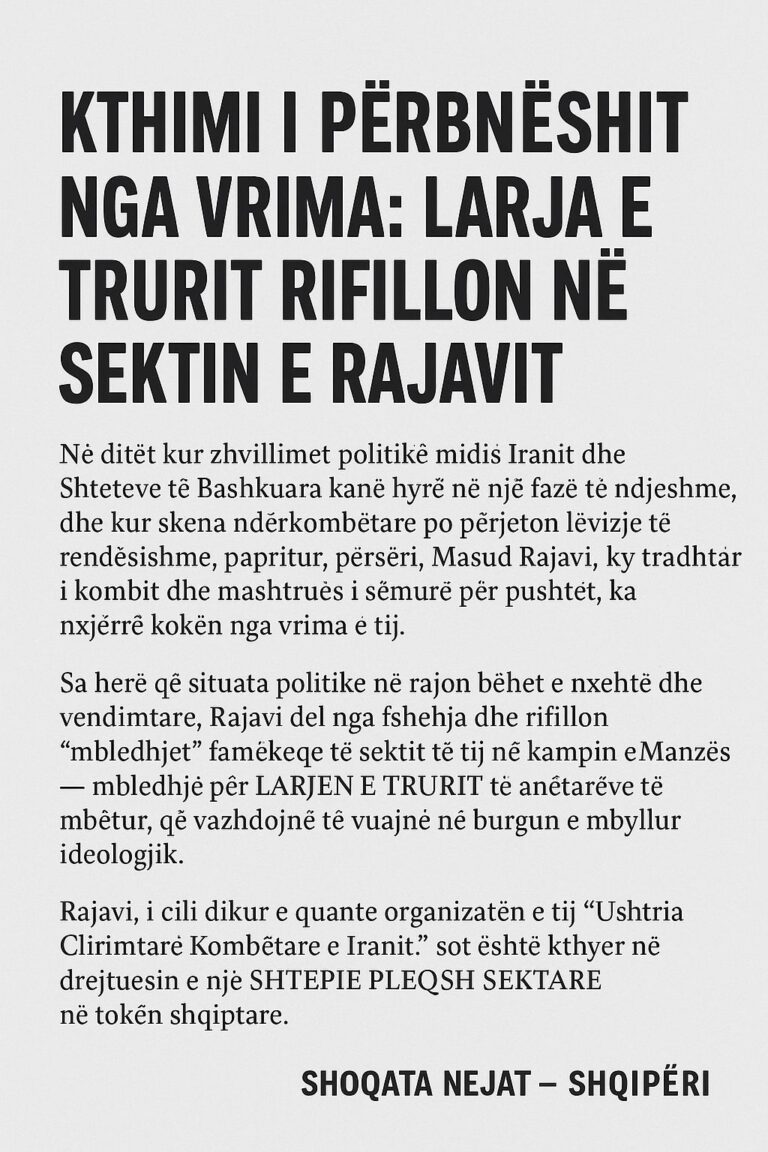 WhatsApp Image 2025-10-11 at 16.47.01