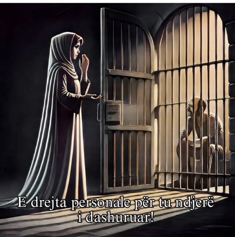 photo_2025-11-22 13.27.50